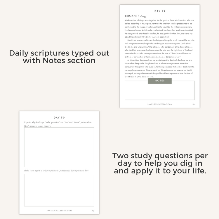 Promise Keeper 31-Day Bible Reading Plan + Workbook