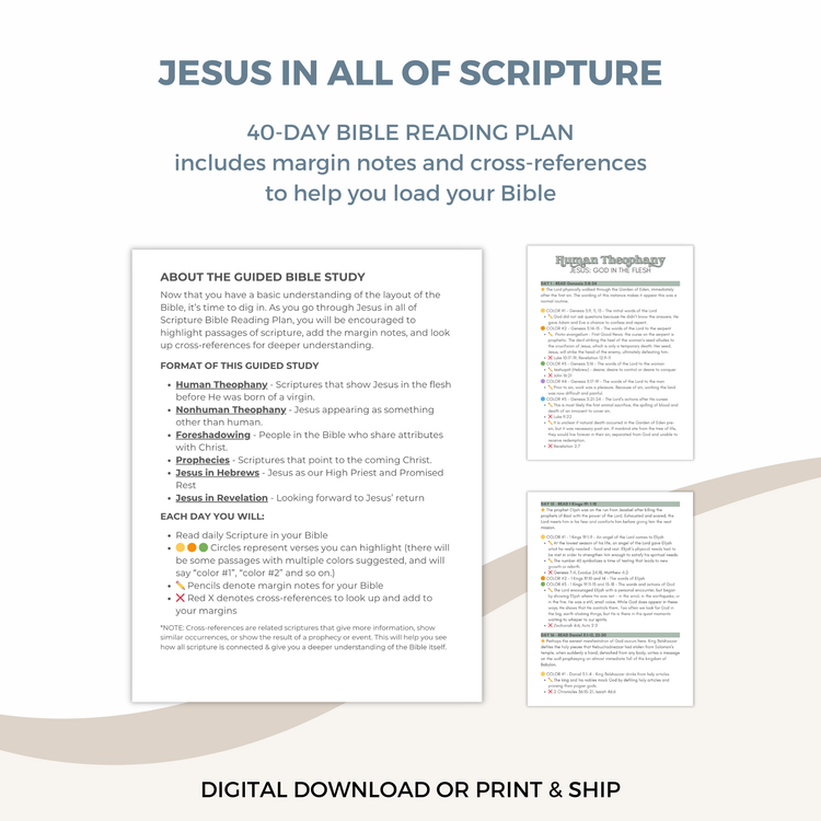 Jesus in All of Scripture Guided Study