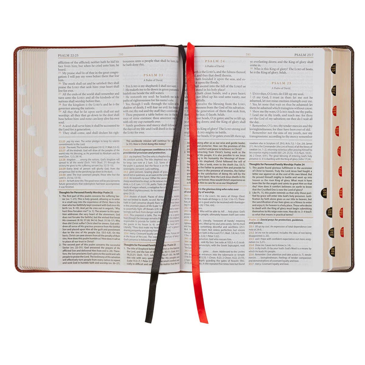 KJV Study Bible LP Faux Leather, Two-tone Brown