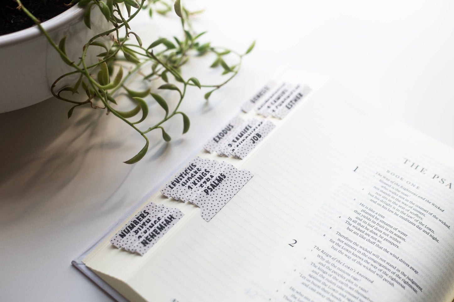 Classic Dot Bible Tabs