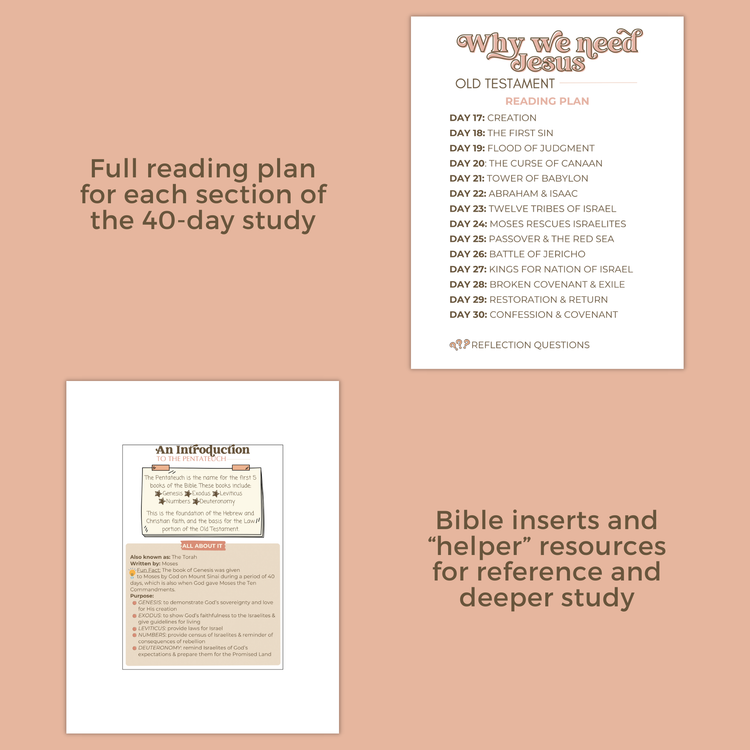 The Cornerstone 40-Day Bible Reading Plan + Workbook