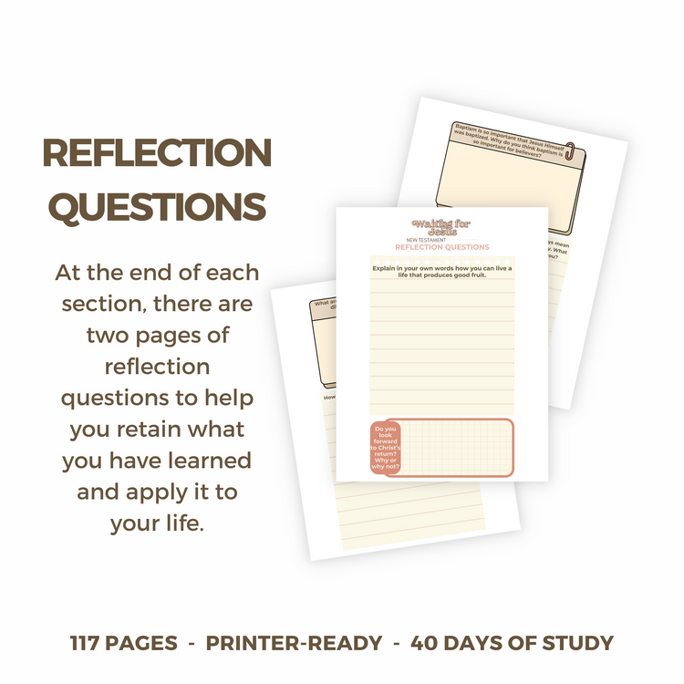The Cornerstone 40-Day Bible Reading Plan + Workbook