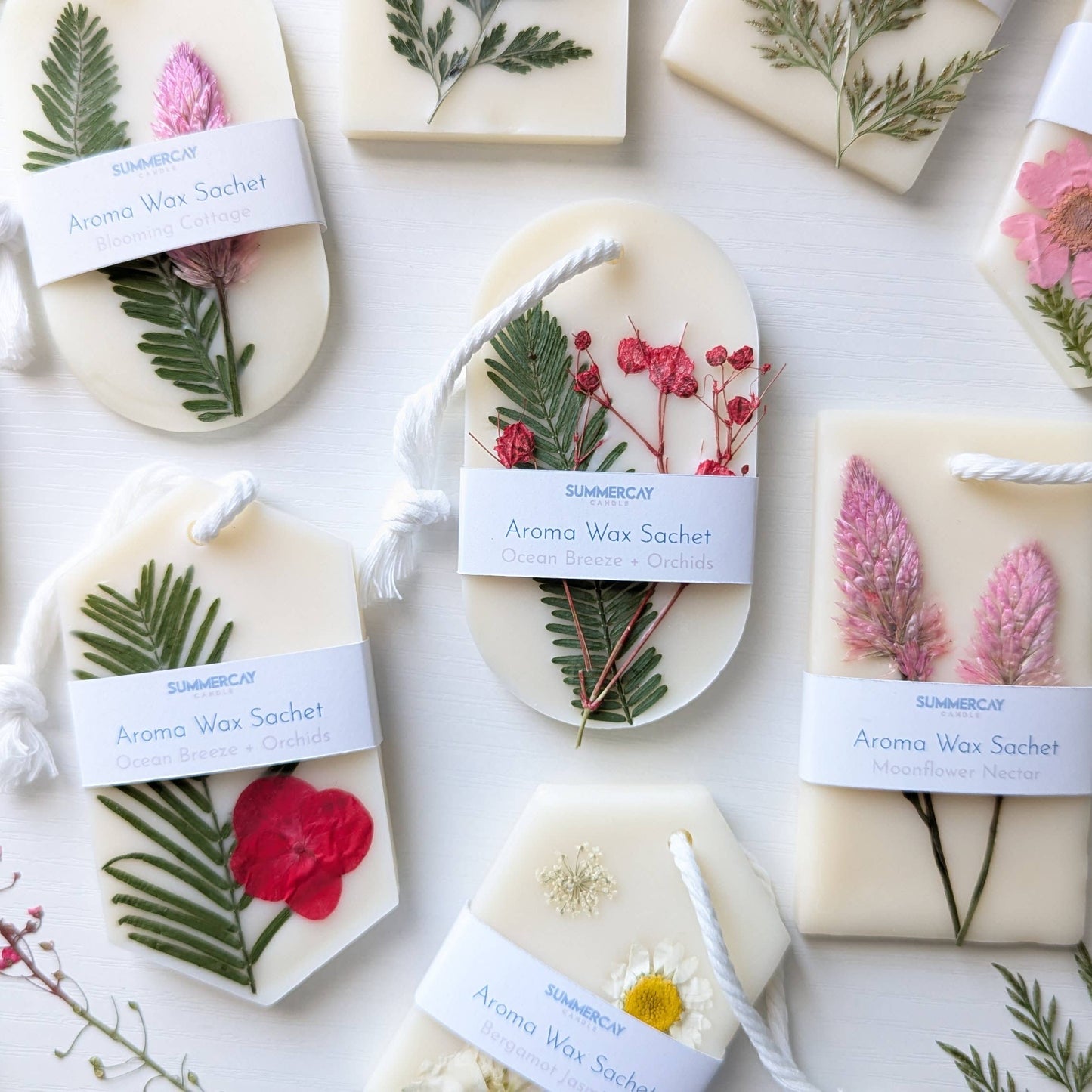 Women of the Bible Study Bundle