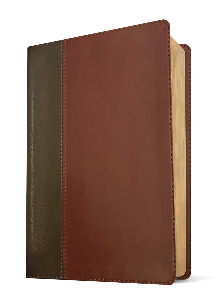 Life Application NLT Study BIble, Brown LeatherLike