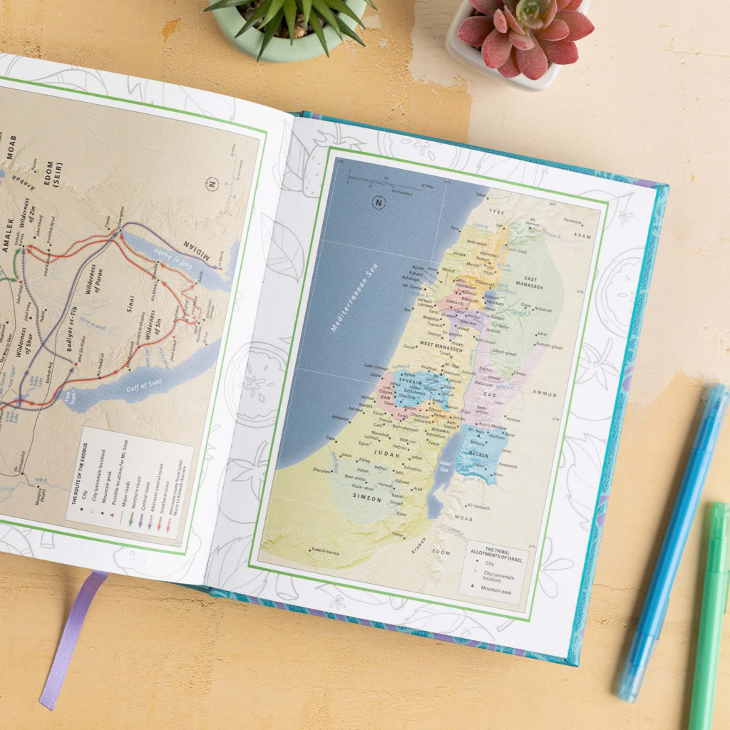 CSB Journal and Draw Bible for Kids