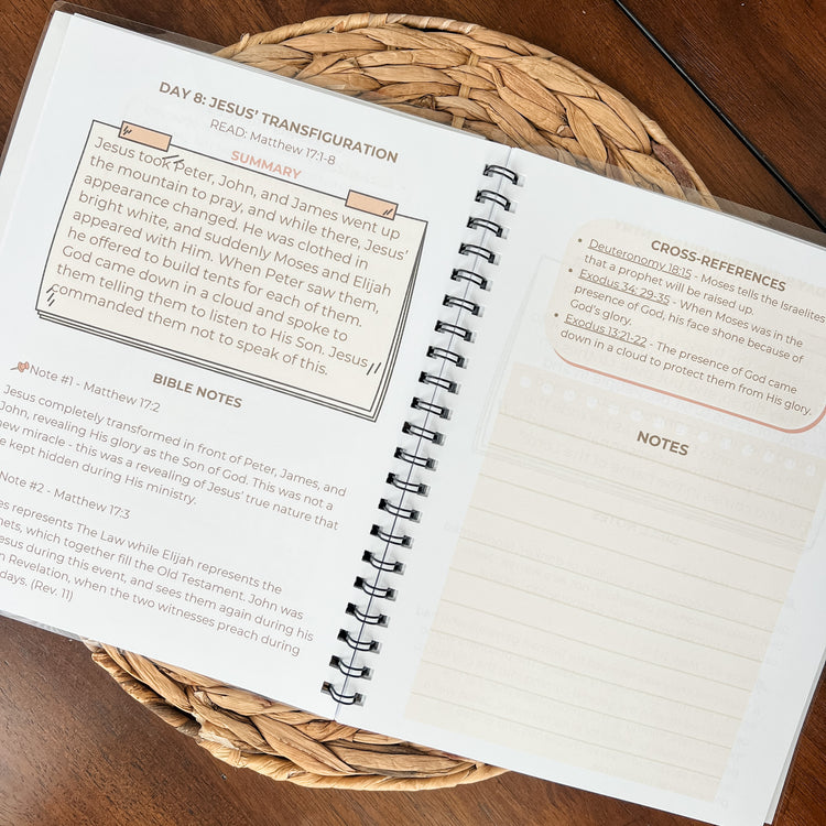 The Cornerstone 40-Day Bible Reading Plan + Workbook