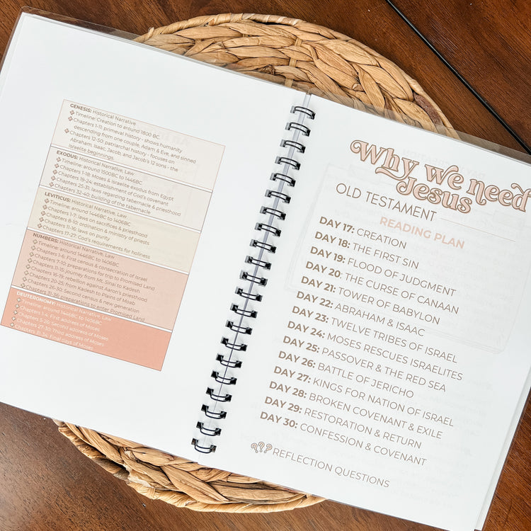 The Cornerstone 40-Day Bible Reading Plan + Workbook