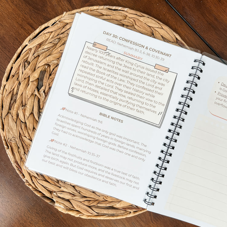 The Cornerstone 40-Day Bible Reading Plan + Workbook