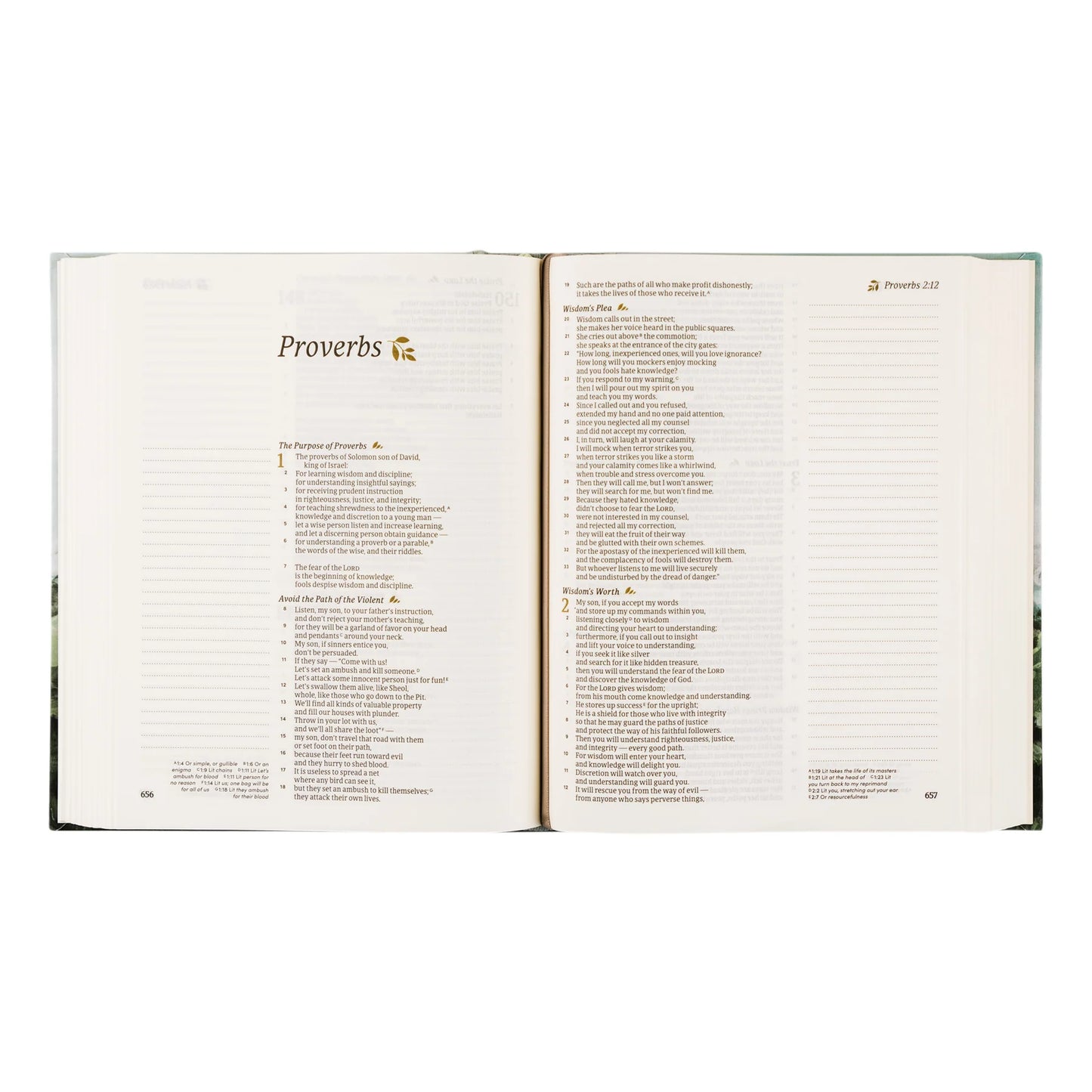 Hosanna Revival NLT Notetaking Bible: Galilee Theme