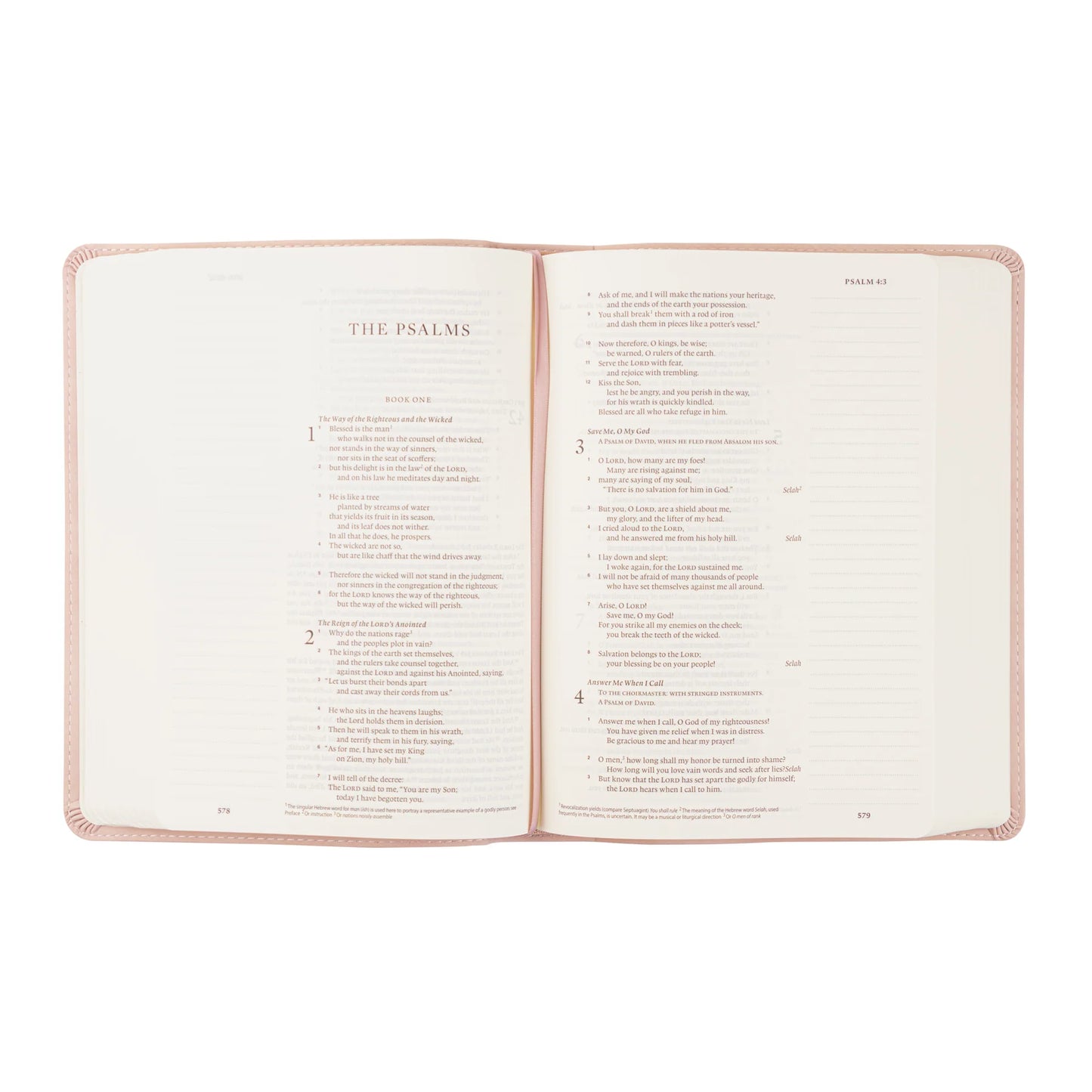 Hosanna Revival ESV Journaling Bible: Shiloh Theme