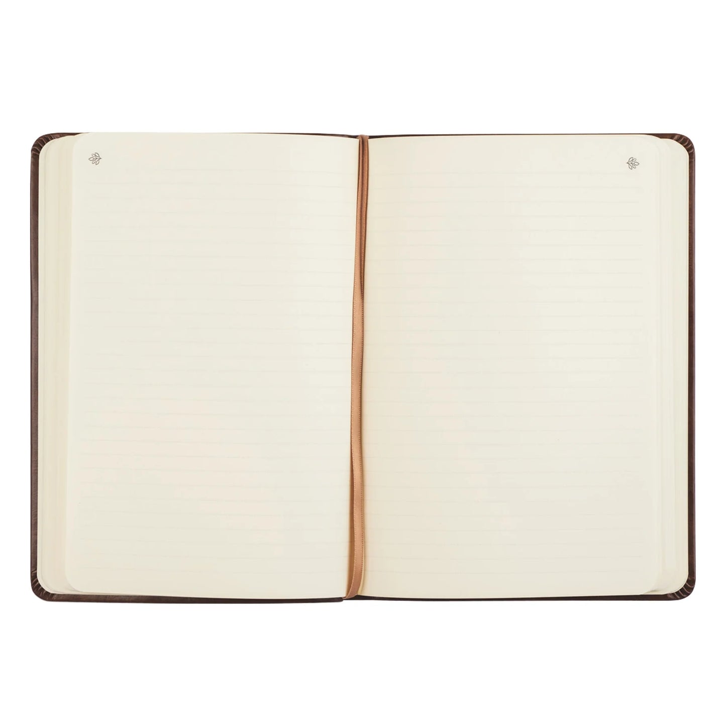 Hosanna Revival Notebook: Aurora Theme