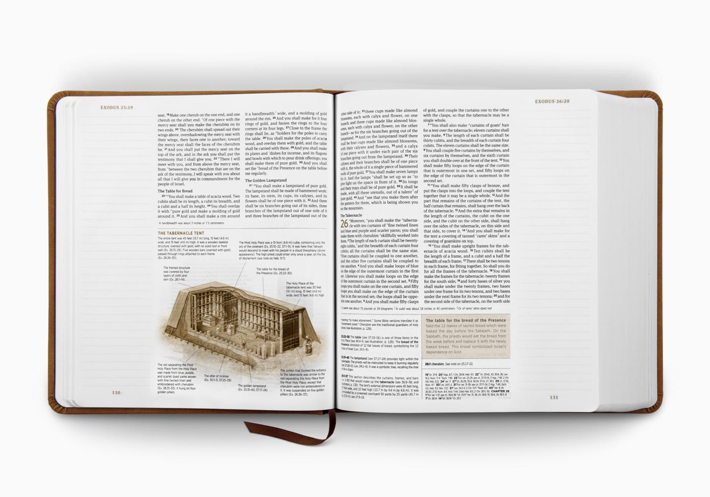 ESV Journaling Study Bible, Blush Hardcover