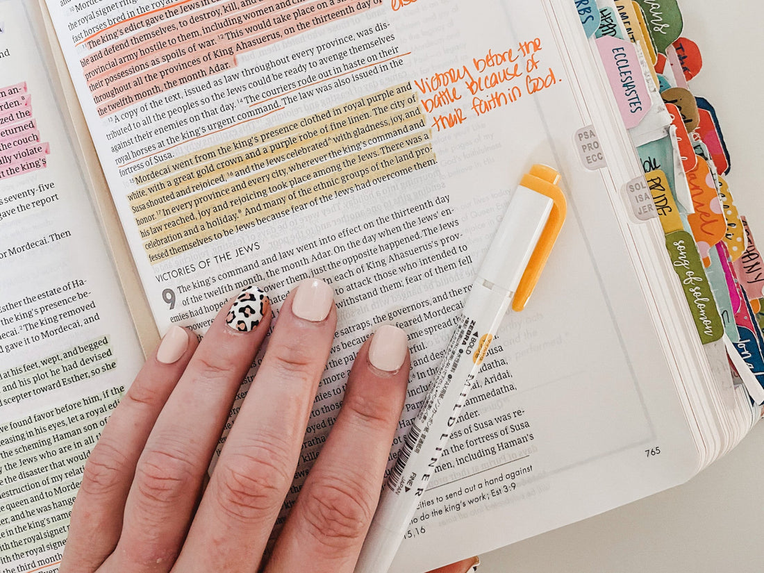 Bible Translations Explained