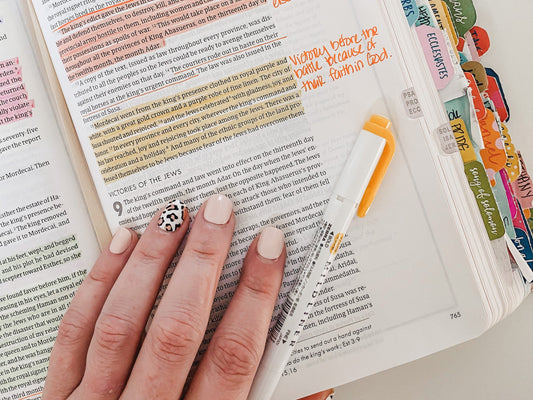 Bible Translations Explained