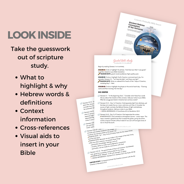 Guided Bible Study: Genesis 1-11