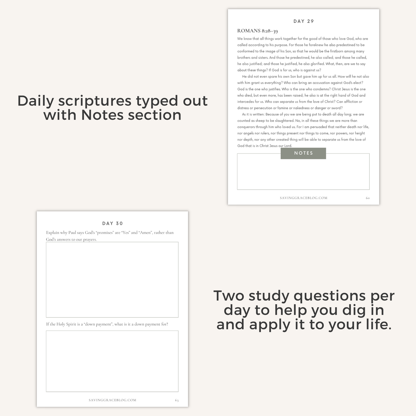 Promise Keeper 31-Day Bible Reading Plan + Workbook