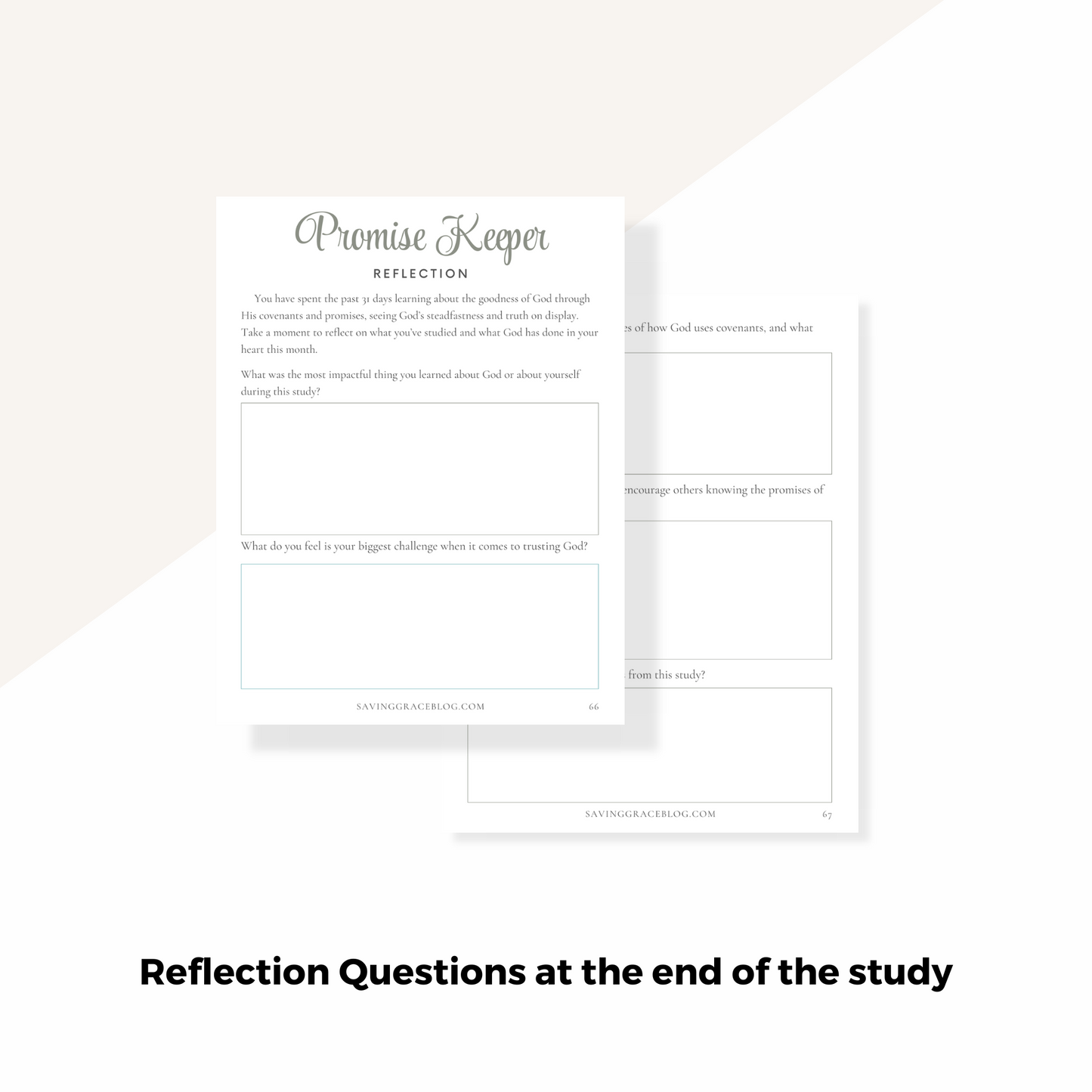 Promise Keeper 31-Day Bible Reading Plan + Workbook