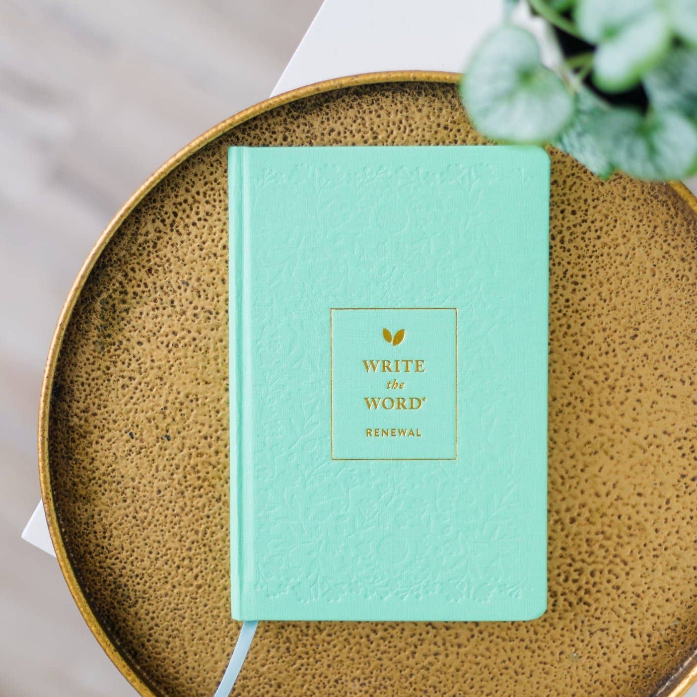 Write The Word® Journal | Renewal