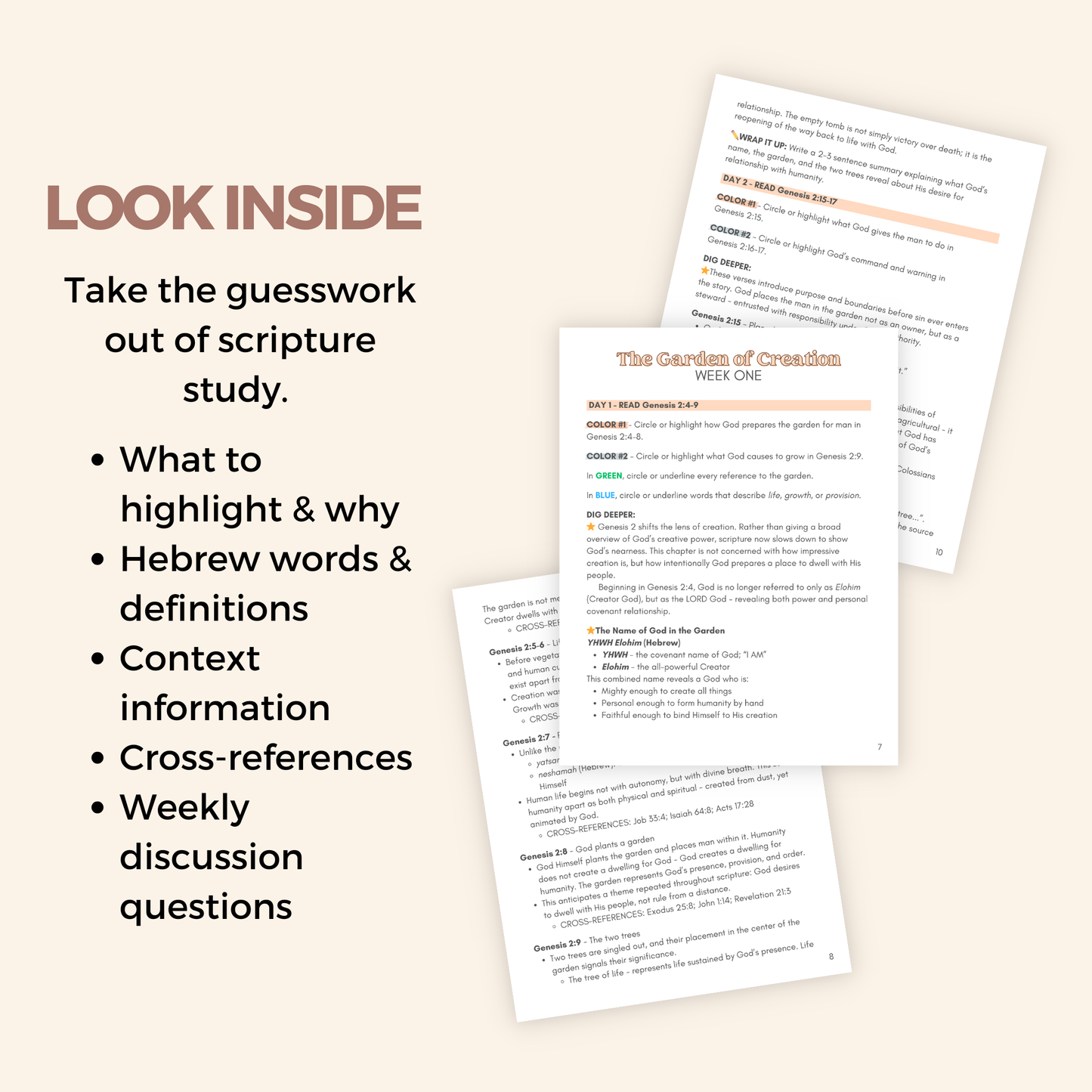 From Garden to Throne Guided Bible Study