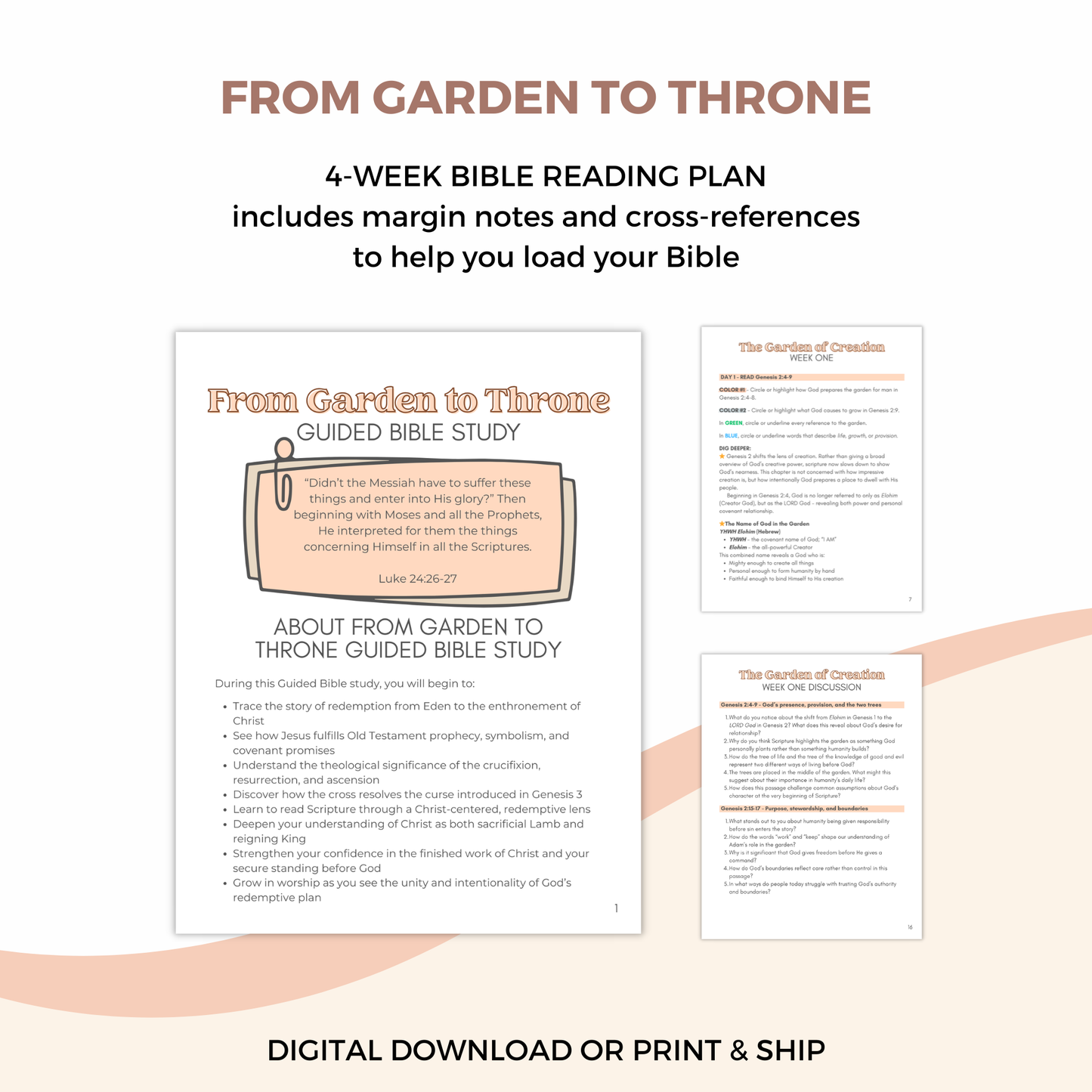 From Garden to Throne Guided Bible Study