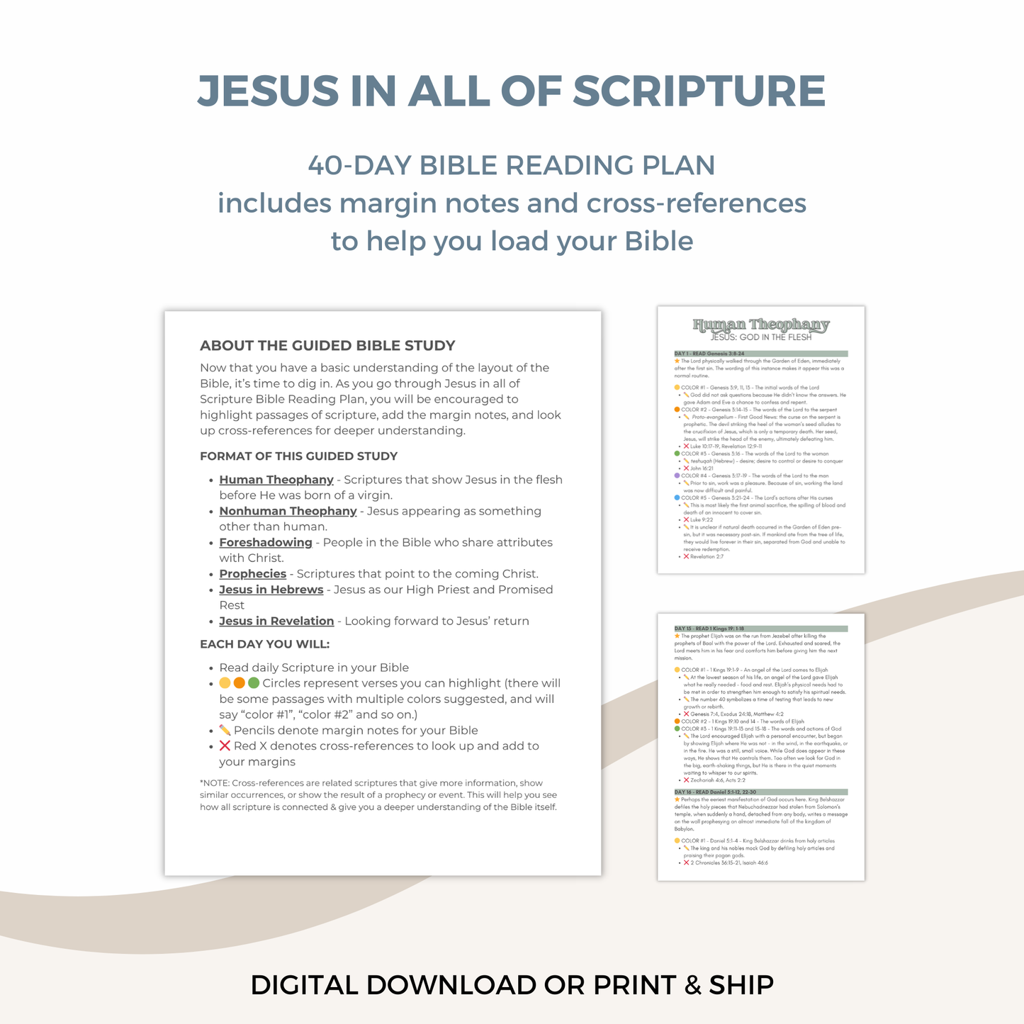Jesus in All of Scripture Guided Study