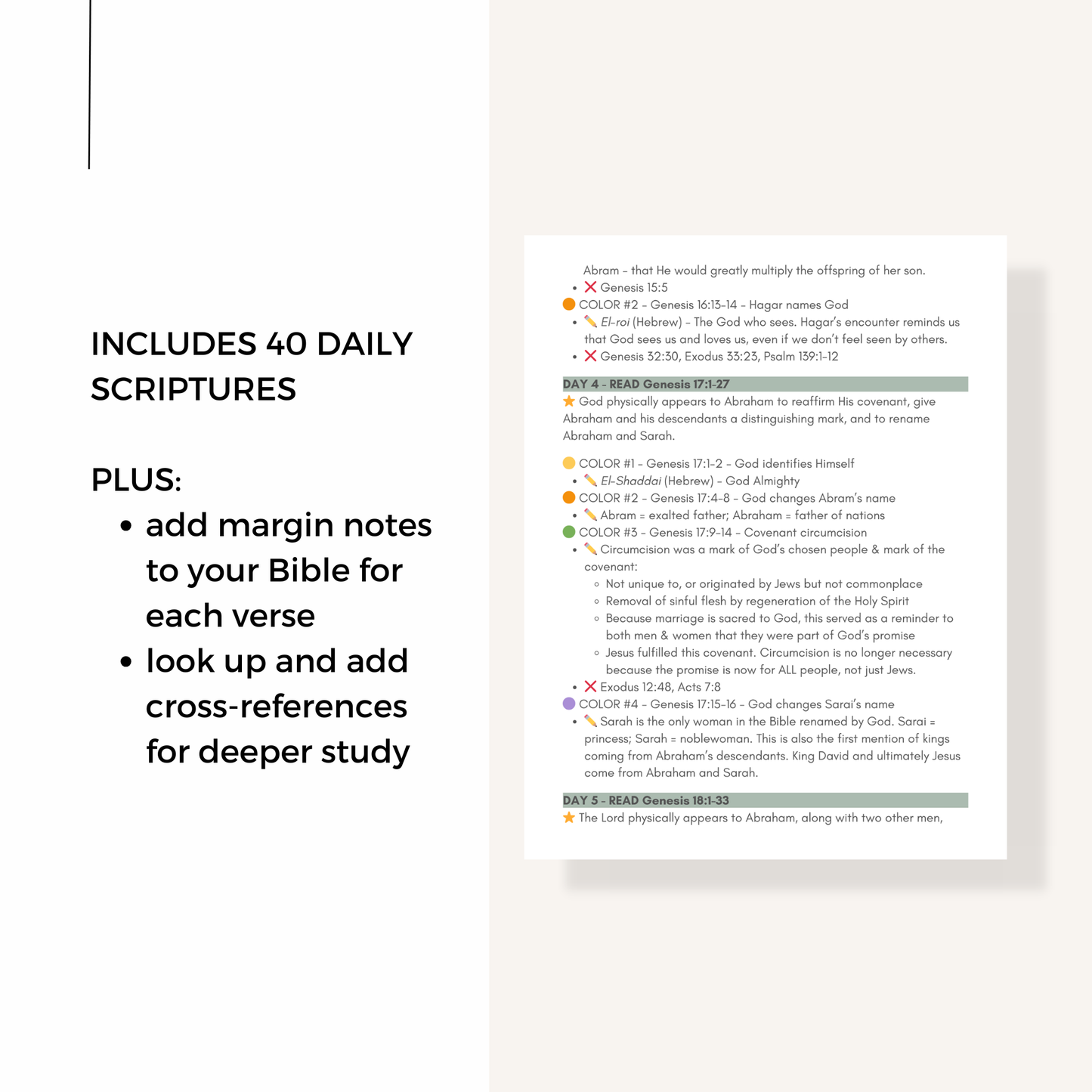 Jesus in All of Scripture Guided Study