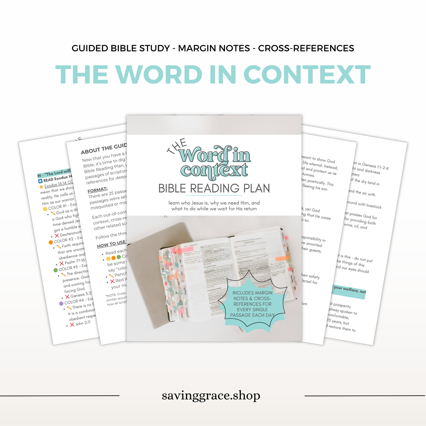 The Word in Context Guided Study