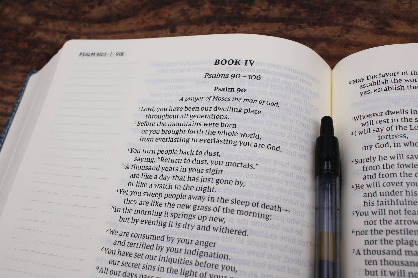 NIV Journal The Word Bible Large Print Leathersoft Teal