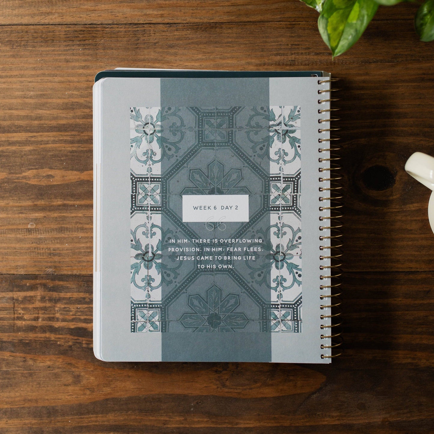 Come and See | An Invitation to Know and Trust Jesus More than Ever Before