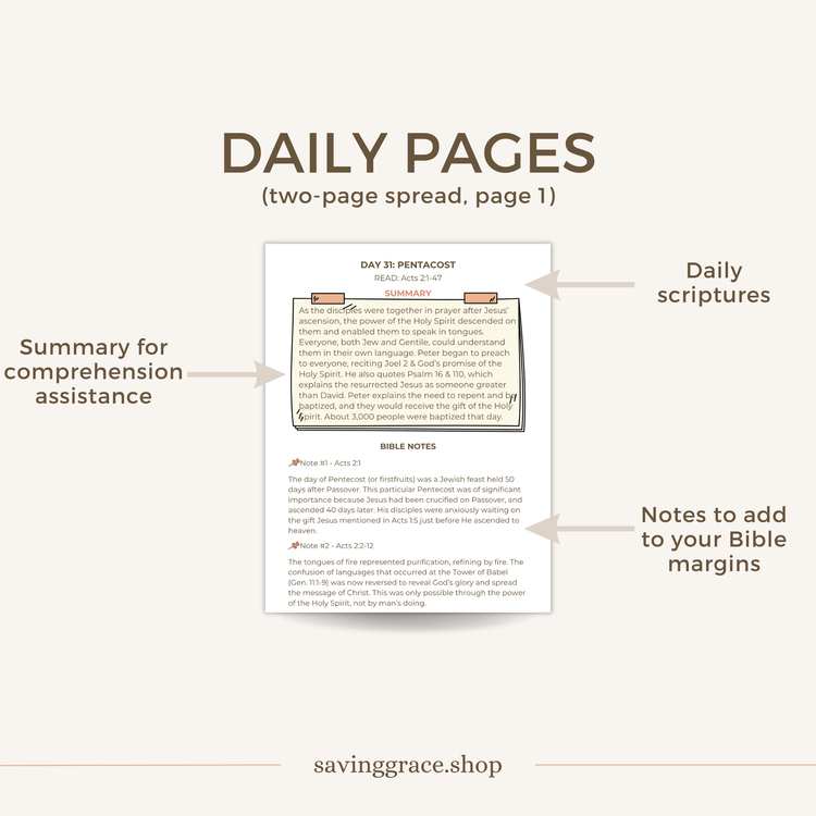 The Cornerstone 40-Day Bible Reading Plan + Workbook
