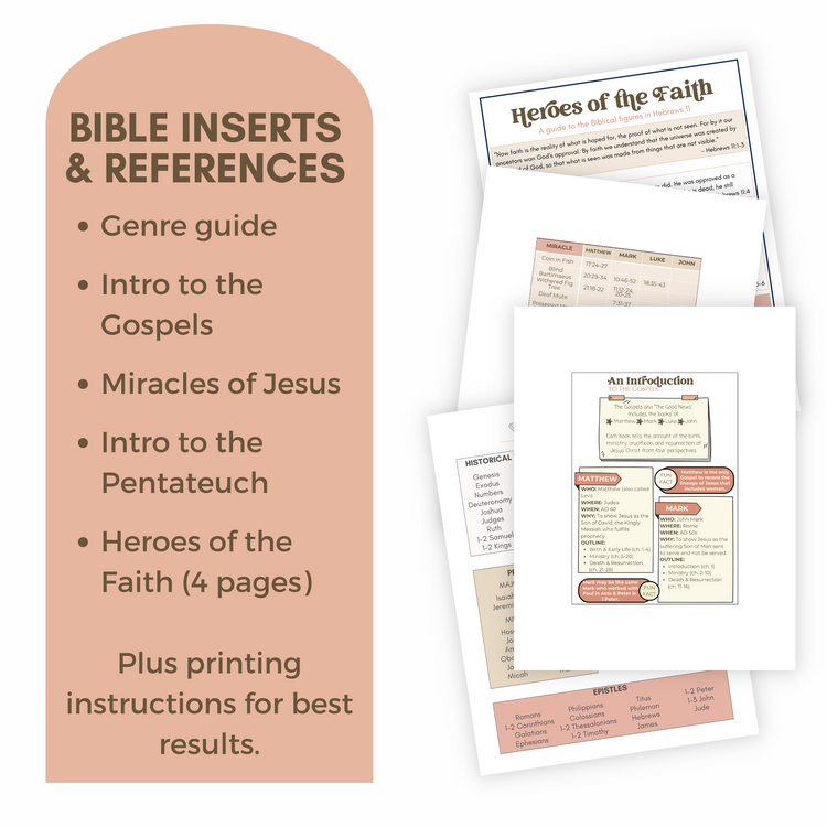 The Cornerstone 40-Day Bible Reading Plan + Workbook