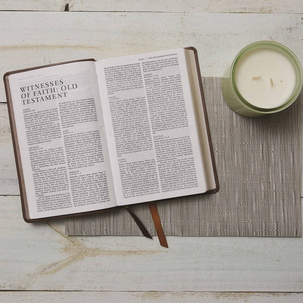 NRSVCE Sacraments of Initiation Catholic Bible, Brown Leather