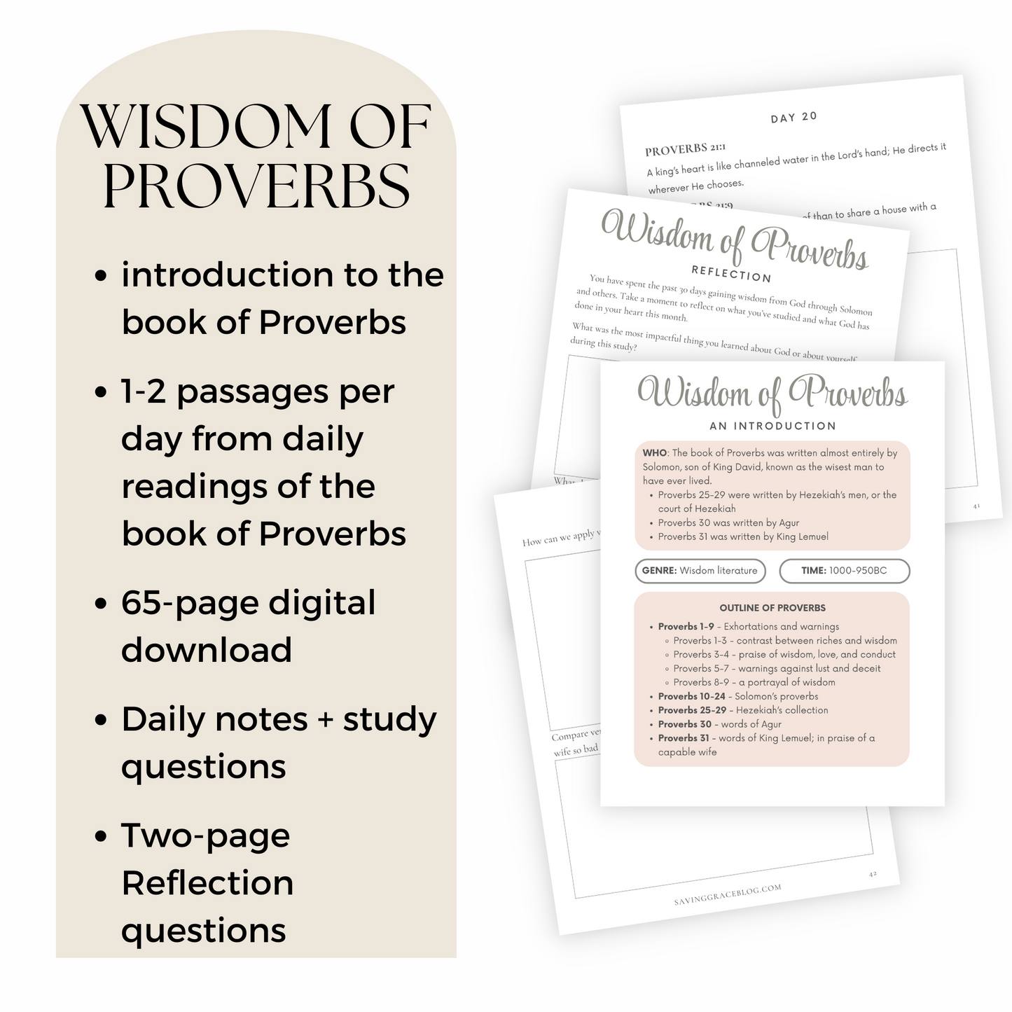 Wisdom of Proverbs 30-Day Bible Reading Plan + Workbook