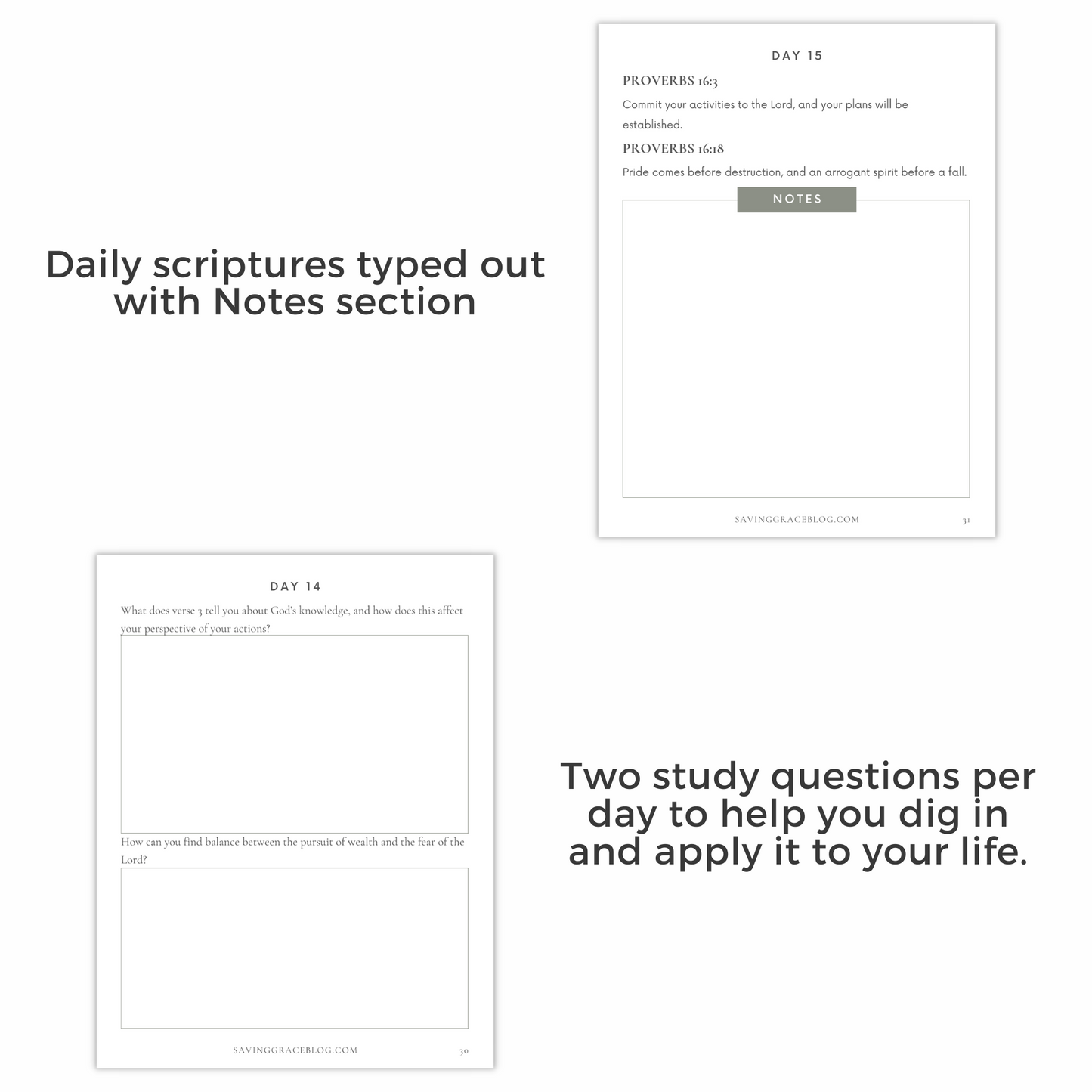 Wisdom of Proverbs 30-Day Bible Reading Plan + Workbook