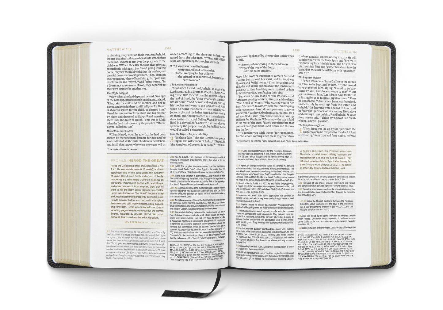 ESV Men's Study Bible, Trutone Charcoal, Shield Design