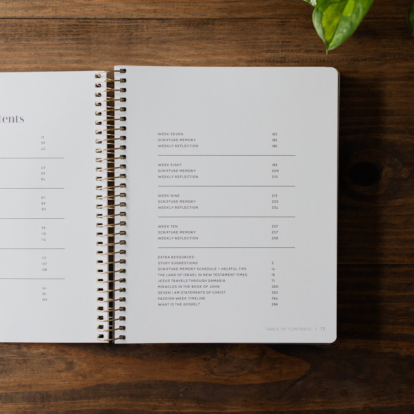 Come and See | An Invitation to Know and Trust Jesus More than Ever Before