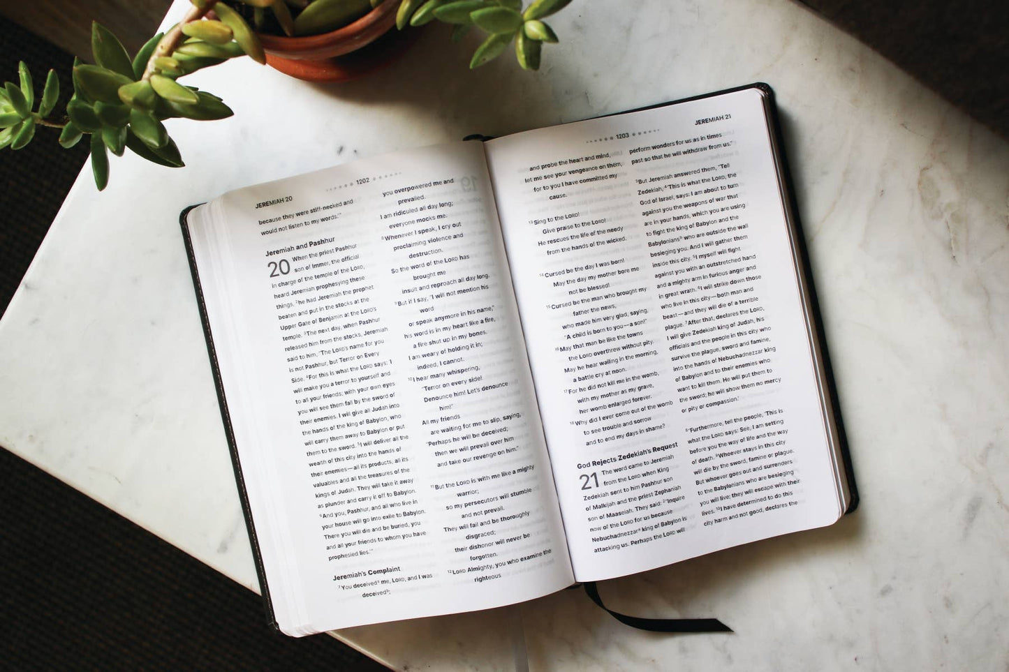 NIV Clear Focus Bible, Leathersoft, Black