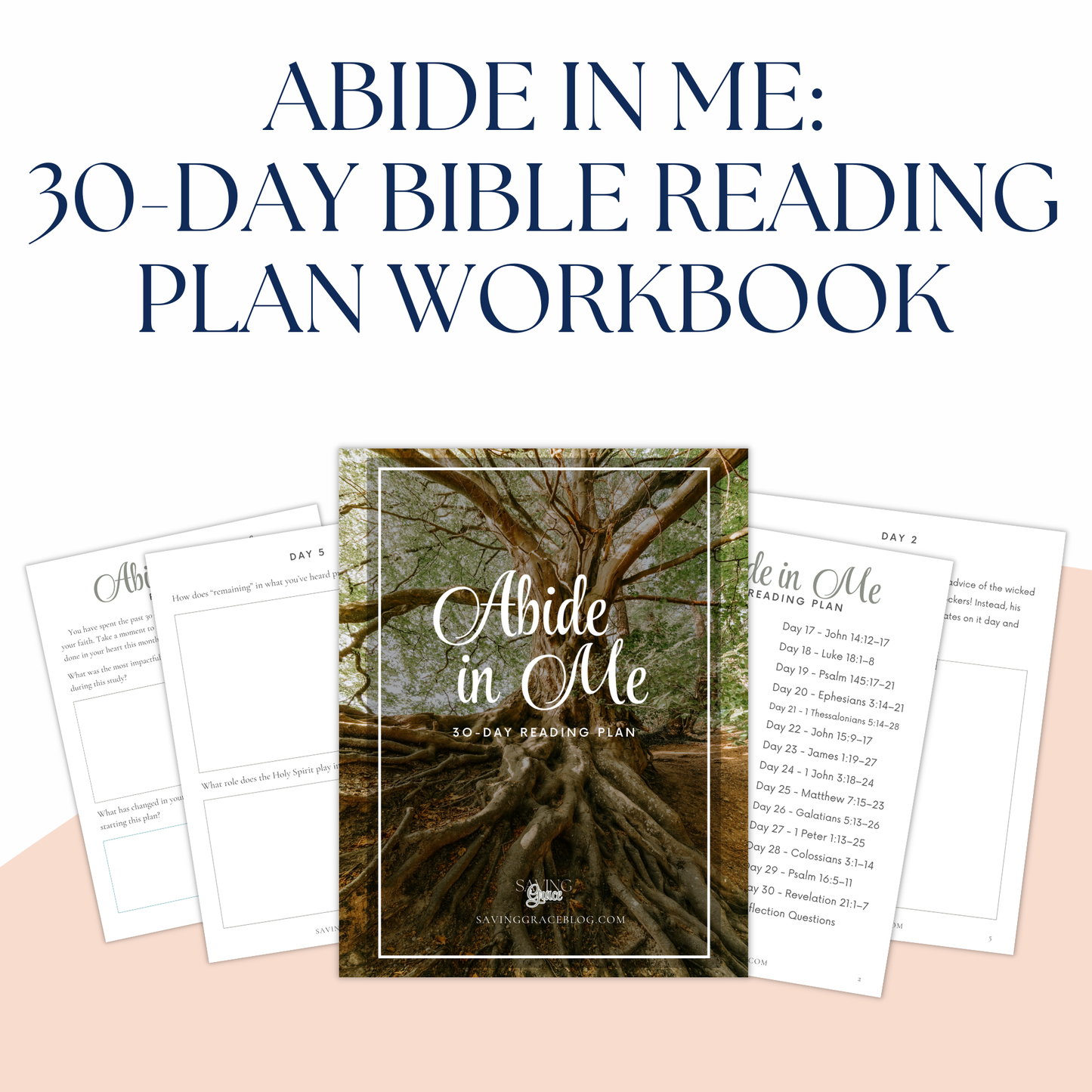 Abide in Me 30-Day Bible Reading Plan + Workbook