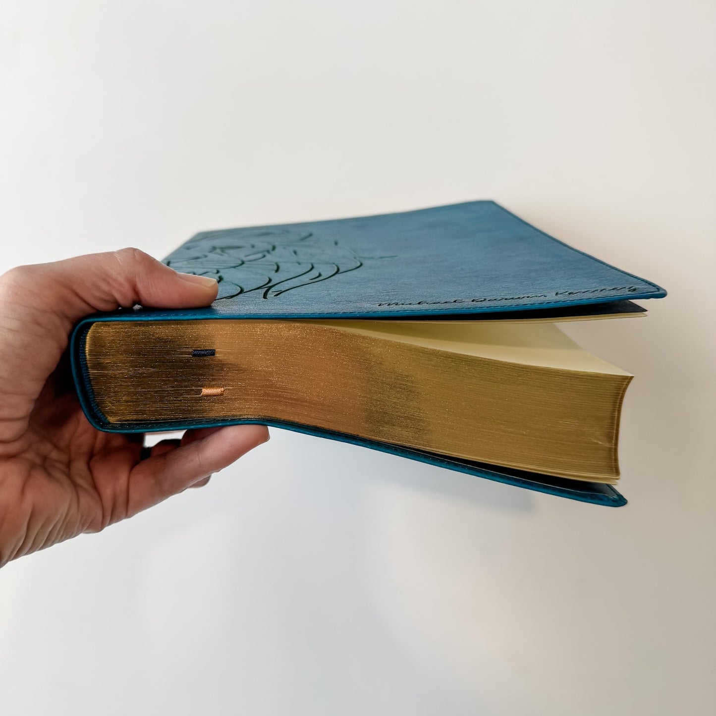 CSB Journaling Bible - Sea Blue - Lion Head