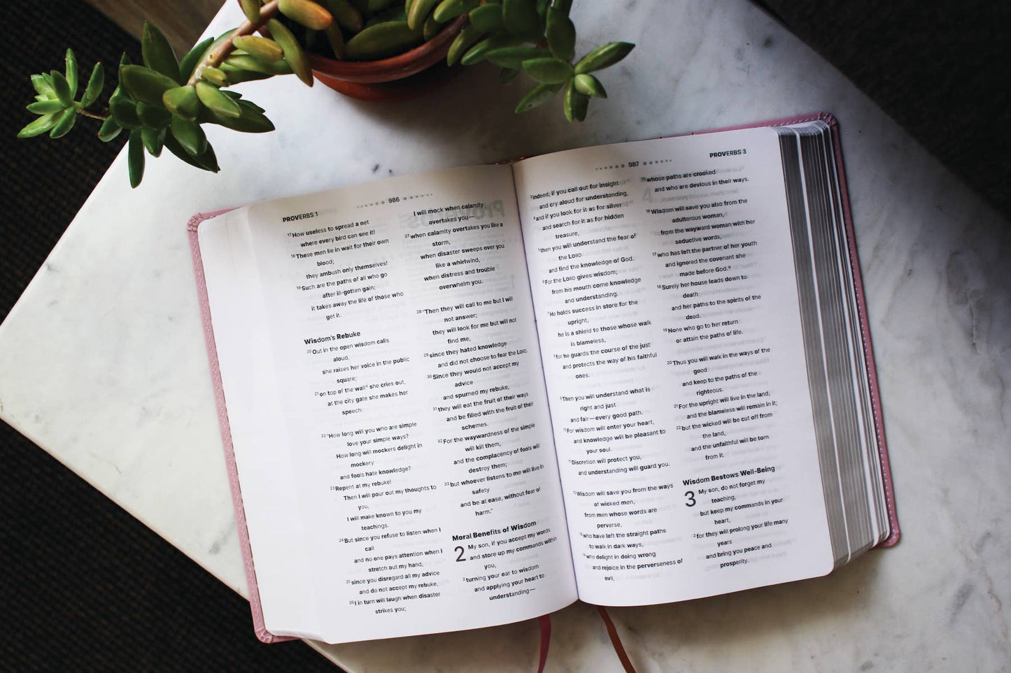 NIV Clear Focus Bible, Leathersoft, Pink