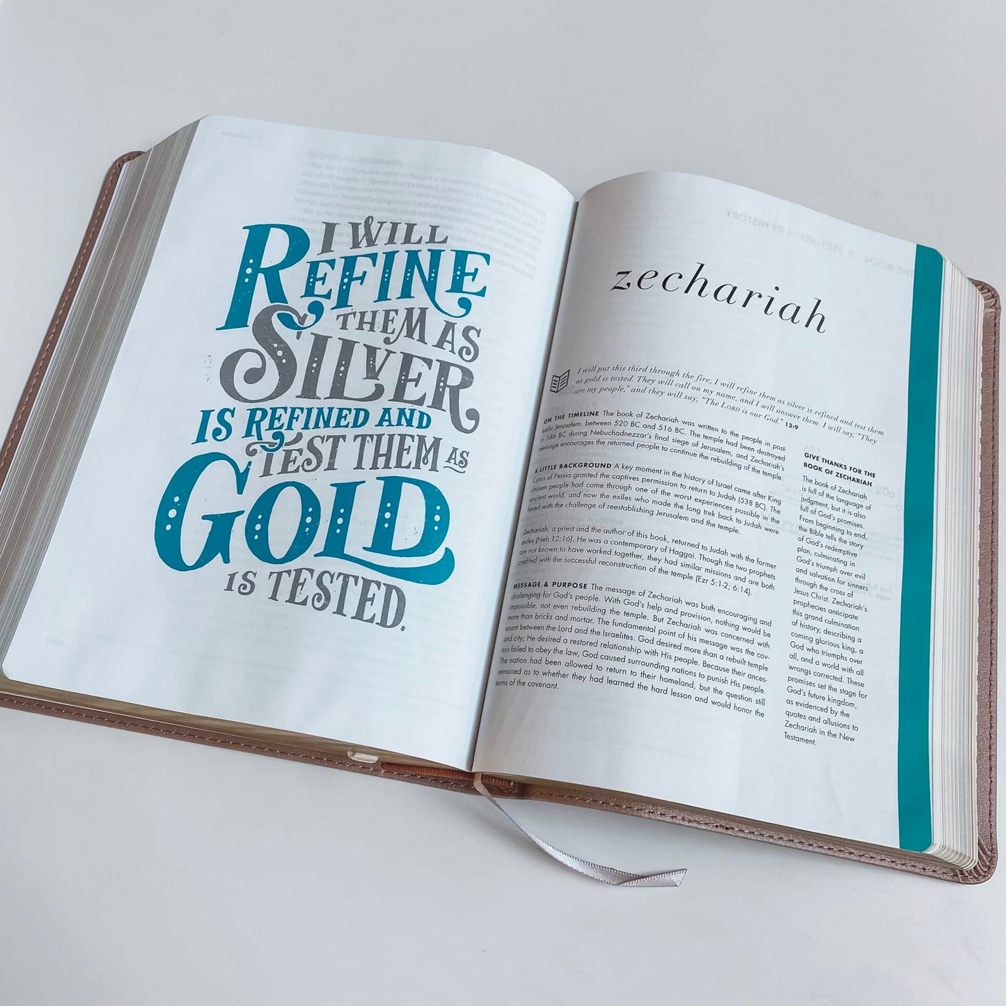 CSB She Reads Truth Bible - Rose Gold - Trust in the Lord - Add Your Name