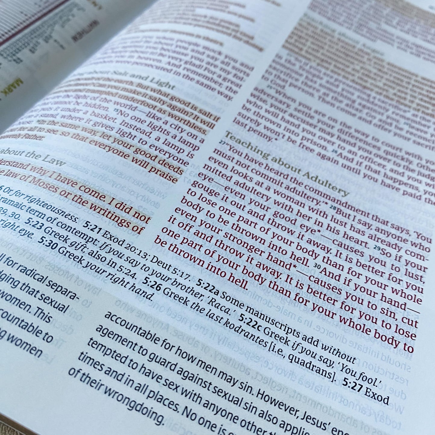NLT Every Woman's Bible - Gold - Trust in the Lord - Personalized