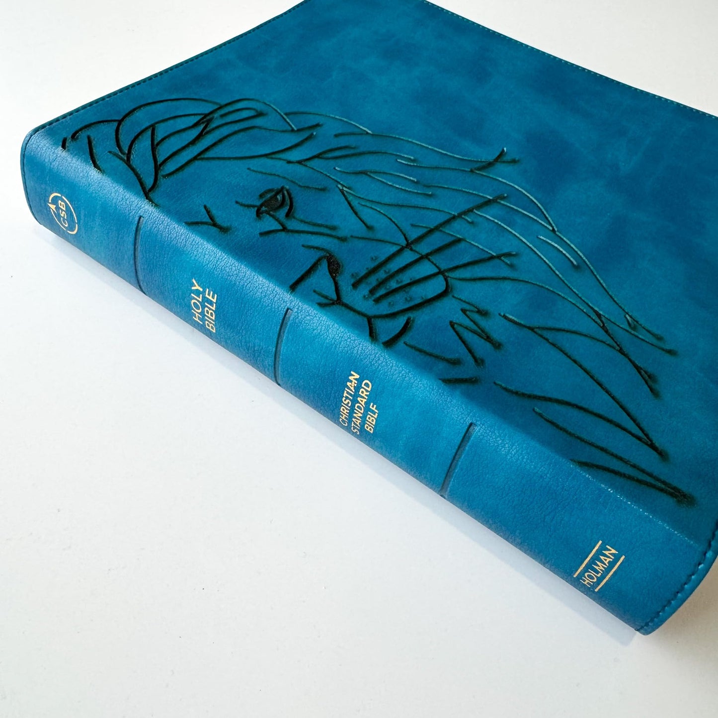 CSB Journaling Bible - Sea Blue - Lion Head