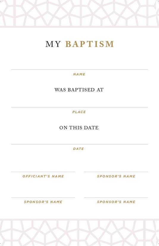 NRSVCE Sacraments of Initiation Catholic Bible, Brown Leather