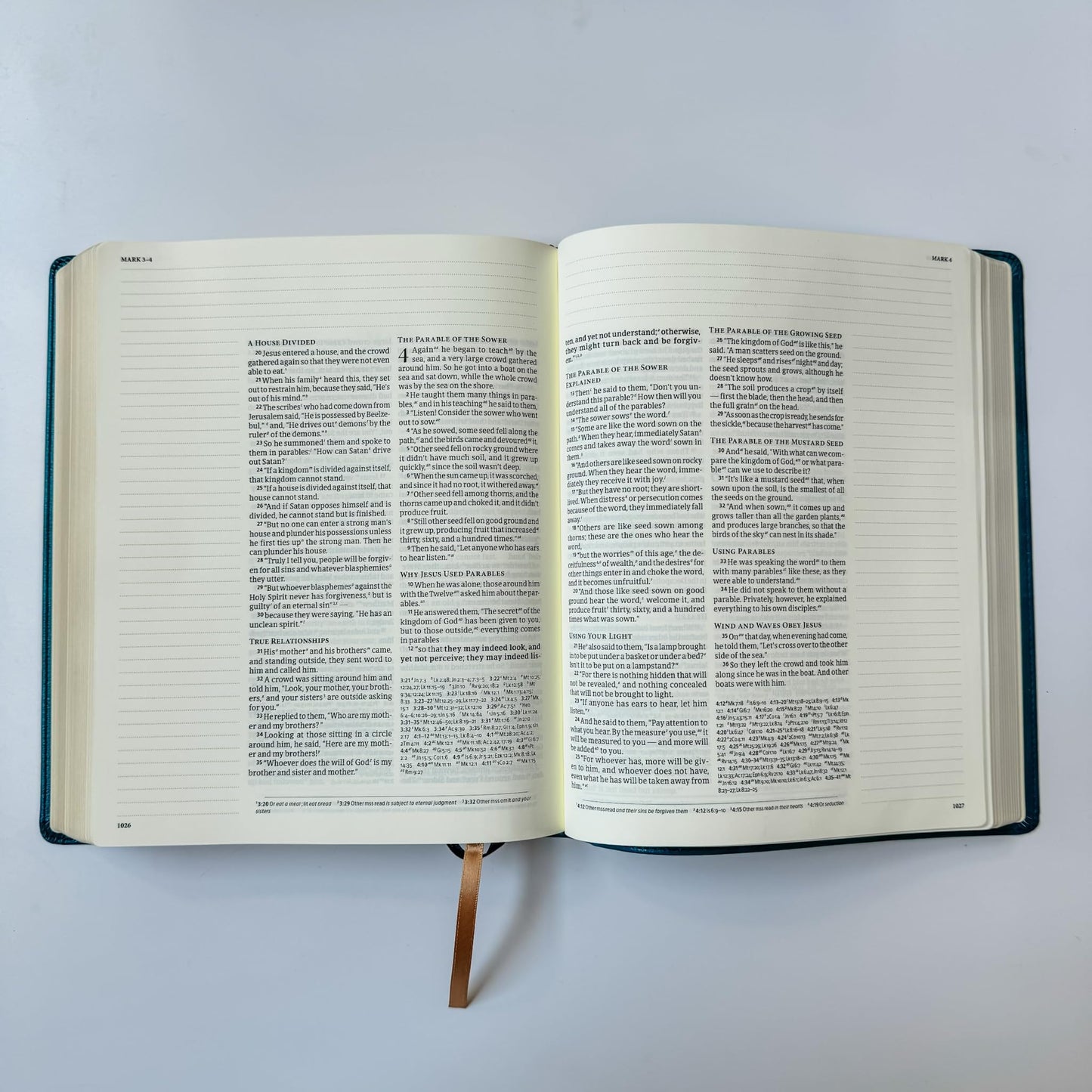 CSB Journaling Bible - Sea Blue - Lion Head
