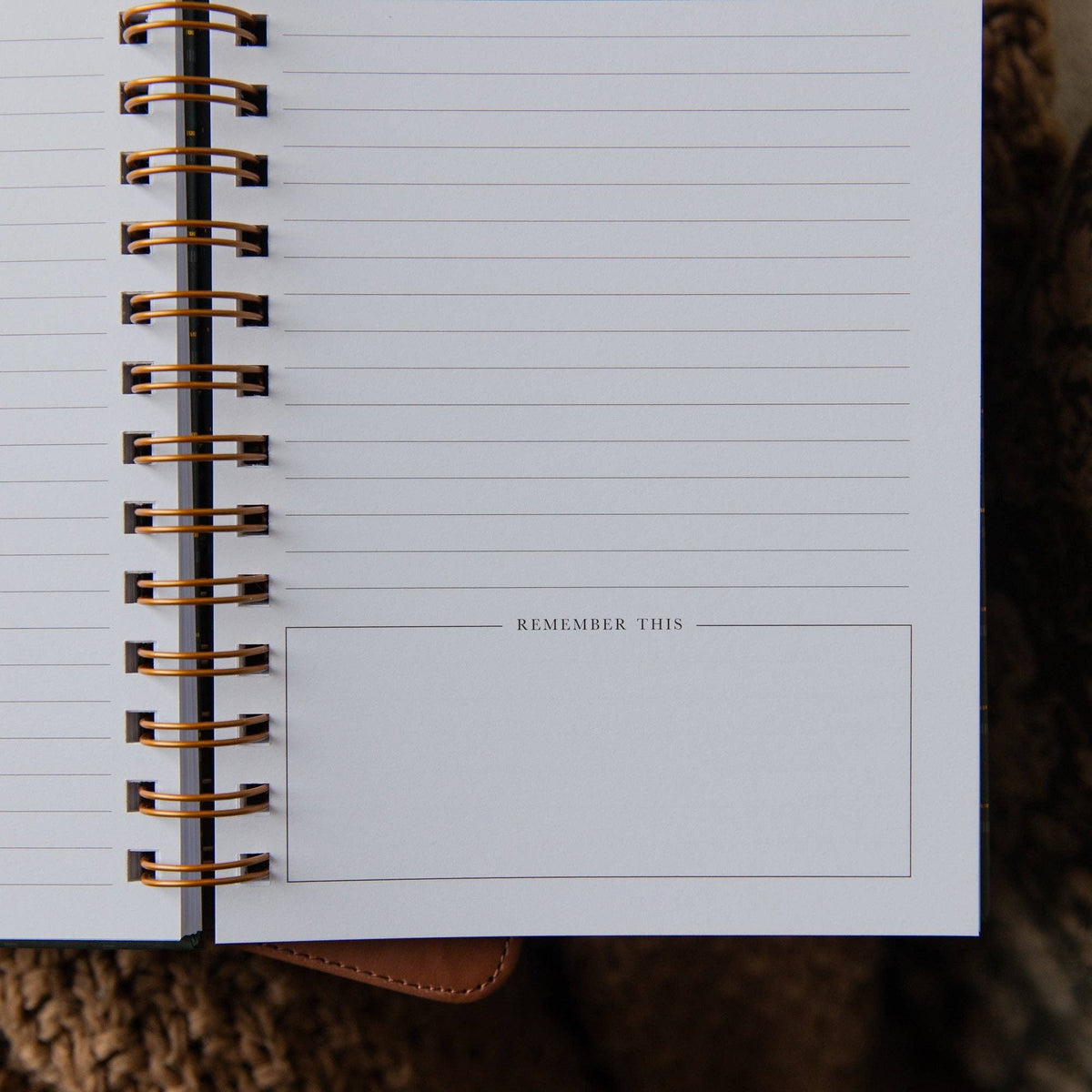 Sermon Notes Journal | Green Plaid