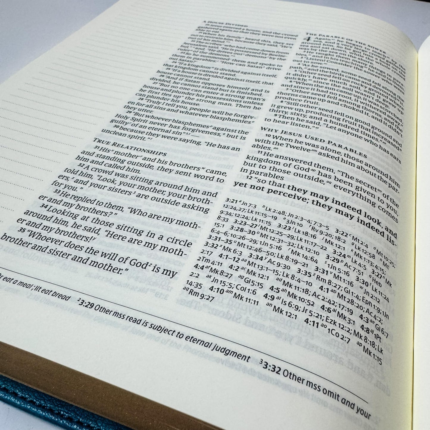CSB Journaling Bible - Sea Blue - Lion Head