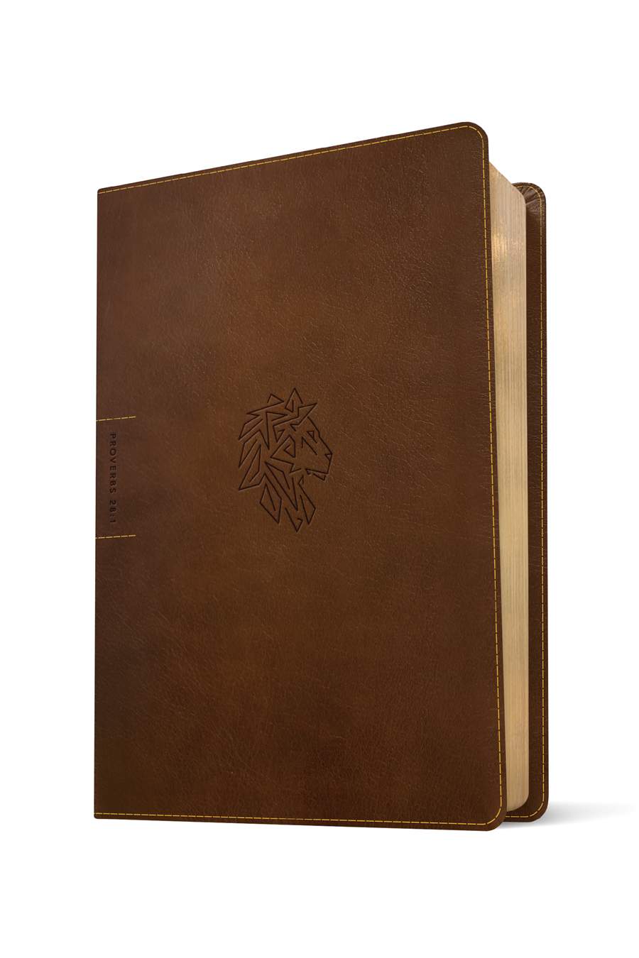 NLT Courage for Life Men's Study Bible, Brown