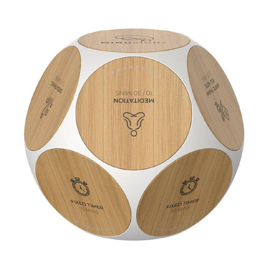 Mindsight Wellness Tracker | Focus Timer & Habit Builder