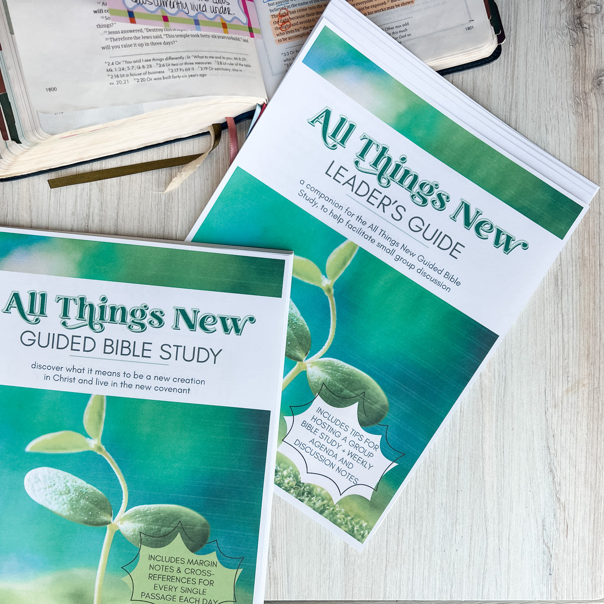 Group Leader Guide All Things New Small Group Leader Guide – Saving Grace Print Shop